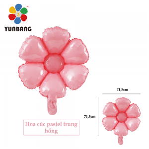 HOA CÚC PASTEL TRUNG HỒNG