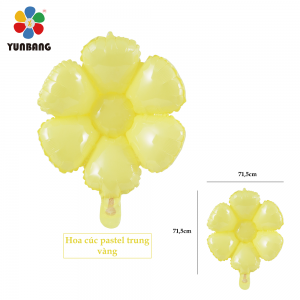 HOA CÚC PASTEL TRUNG VÀNG
