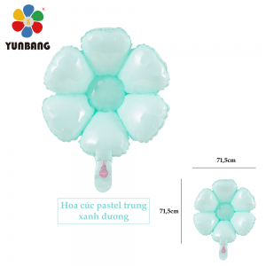 HOA CÚC PASTEL TRUNG XANH DƯƠNG