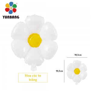 HOA CÚC TO TRẮNG
