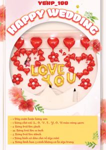 SET TRANG TRÍ YBHP_100